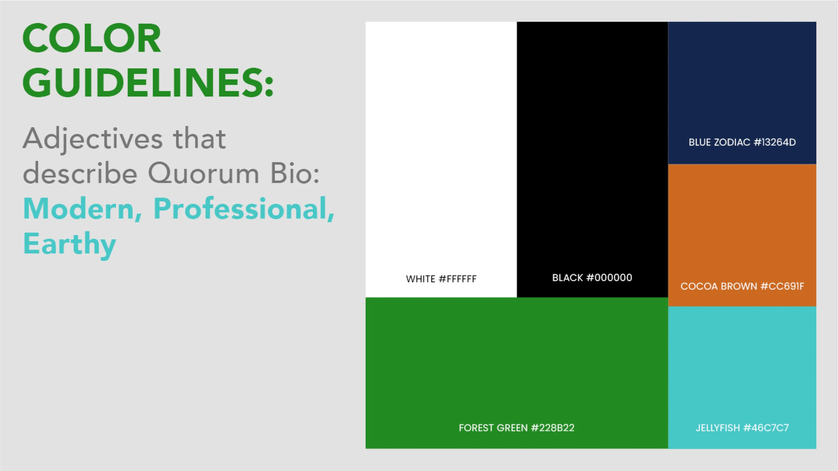 Color scheme